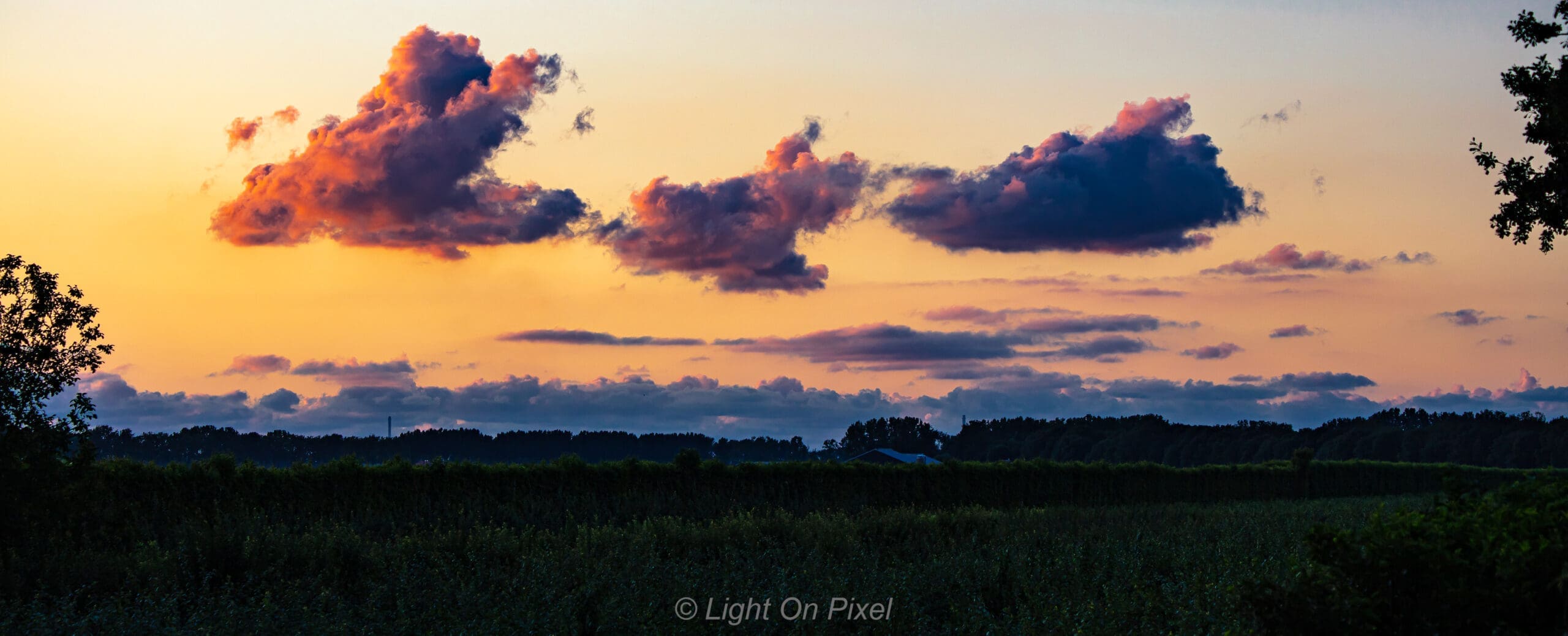 [picture] with one source of just the 2 biggest sizes | sizes missing